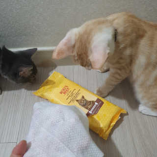이째님이 올린 리뷰 사진 2