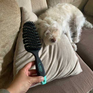 thecheapsubscriber님이 올린 리뷰 사진 1