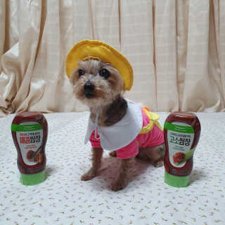 솜희님이 올린 리뷰 사진 2
