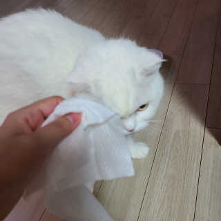 논지님이 올린 리뷰 사진 2