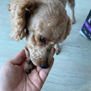 헤이뷰님이 올린 리뷰 사진 4