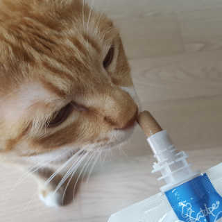 미야님이 올린 리뷰 사진 4