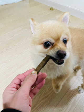 My Pet Care 천연단백질 치아건강에 개좋아 — 5점을 준 리뷰어가 2020년 12월 올린 사용 사진