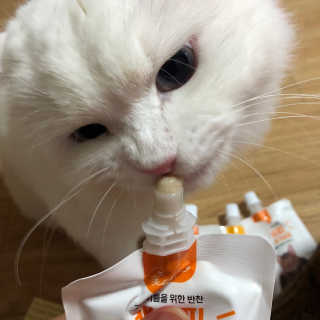 패랭이님이 올린 리뷰 사진 2