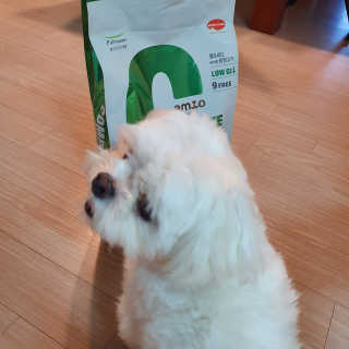 hosu.1230님이 올린 리뷰 사진 2