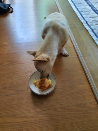 영이님이 올린 리뷰 사진 3