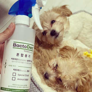칸쵸님이 올린 리뷰 사진 2