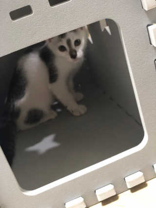 하후니님이 올린 리뷰 사진 2