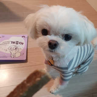 My Pet Care 천연단백질 치아건강에 개좋아 — 5점을 준 리뷰어가 2020년 12월 올린 사용 사진