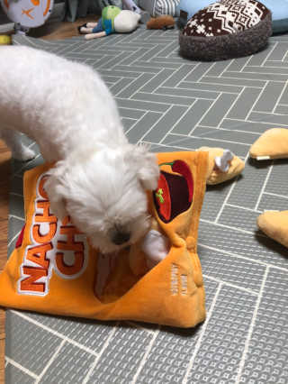 아니님이 올린 리뷰 사진 3