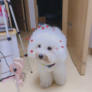 YS님이 올린 리뷰 사진 3