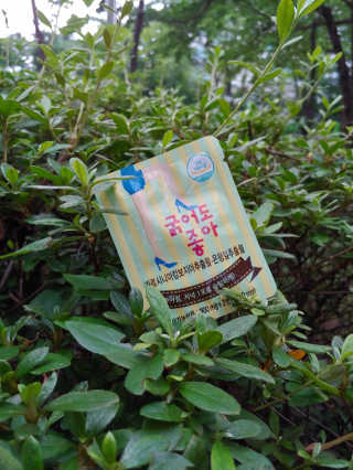 바다벼리님이 올린 리뷰 사진 2