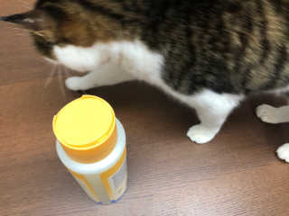 Criss님이 올린 리뷰 사진 2