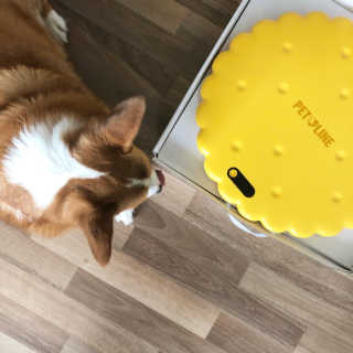 룰루랄라님이 올린 리뷰 사진 1