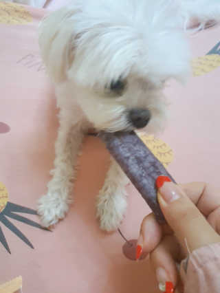라임님이 올린 리뷰 사진 1