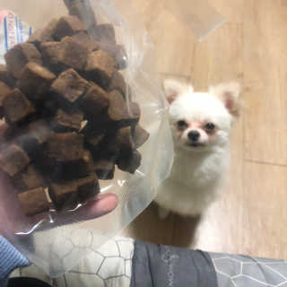 My Pet Care 천연단백질 관절건강에 개좋아 — 5점을 준 리뷰어가 2020년 11월 올린 사용 사진
