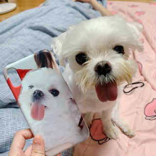 니코니코니님이 올린 리뷰 사진 2
