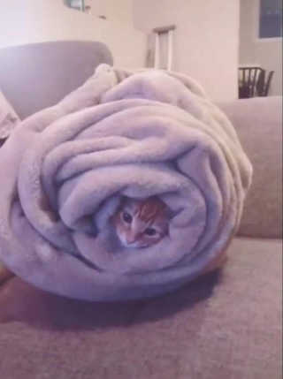 Miso님이 올린 리뷰 사진 3
