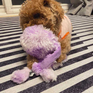 toiiiii님이 올린 리뷰 사진 4