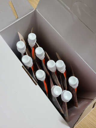 자연에온 핑크 자몽 착즙 100mL 10개입 2BOX — 5점을 준 리뷰어가 2020년 11월 올린 사용 사진