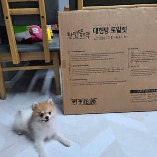 펫토리아 한판뚝딱 프리미엄 강아지 배변판 초대형 — 5점을 준 리뷰어가 2020년 8월 올린 사용 사진