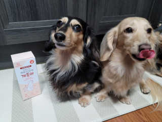 My Pet Care 모발과 모질 피부건강에 개좋아 — 5점을 준 리뷰어가 2020년 11월 올린 사용 사진