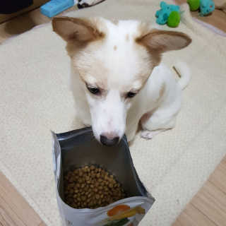 모델윤지님이 올린 리뷰 사진 1