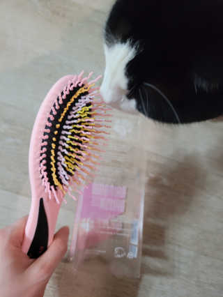 아이캔디 레인보우 볼륨S  브러쉬 for PET 미디엄 — 4점을 준 리뷰어가 2020년 11월 올린 사용 사진