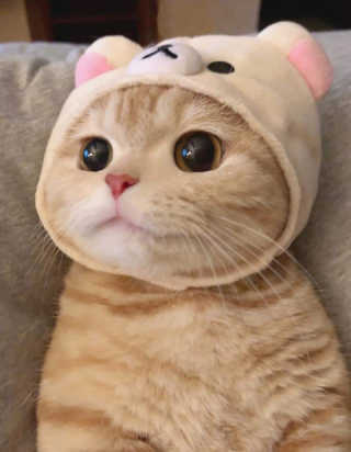 2주영잉님이 올린 리뷰 사진 3