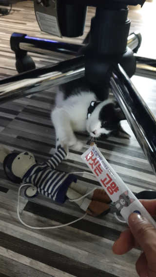 퓨리아님이 올린 리뷰 사진 1