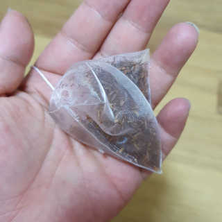 Ren님이 올린 리뷰 사진 4