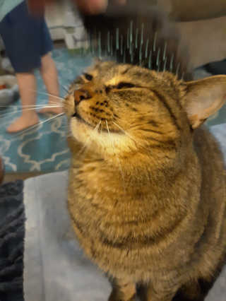 Marshmansarah님이 올린 리뷰 사진 4