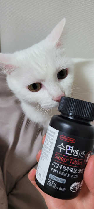 대박이님이 올린 리뷰 사진 3
