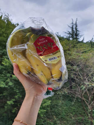 [스미후루] 감숙왕 바나나 2팩 2.6kg 이벤트 — 5점을 준 리뷰어가 2020년 9월 올린 사용 사진