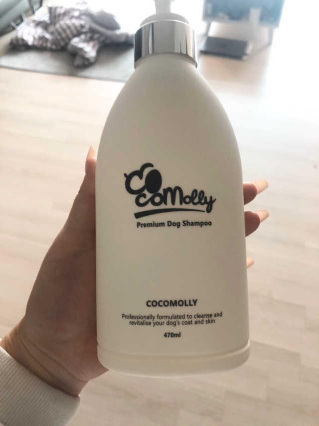 예민한 피부를 위한 코코몰리 All in one 자연유래 샴푸 리뷰 사진