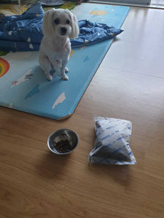 삐랭이님이 올린 리뷰 사진 3