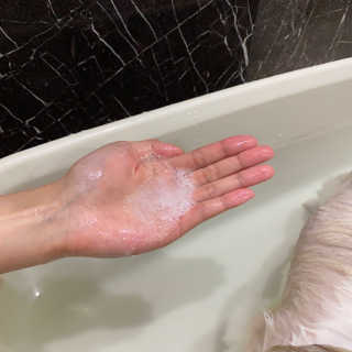 쫑구리님이 올린 리뷰 사진 4