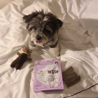 My Pet Care 천연단백질 치아건강에 개좋아 — 5점을 준 리뷰어가 2020년 11월 올린 사용 사진