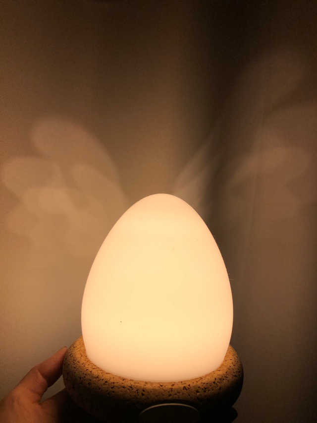 알에서 새가 깨어나는 감성 디자인 무드등, 에그라이트 리뷰 사진