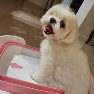 hosu.1230님이 올린 리뷰 사진 1