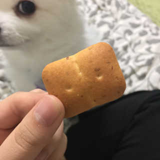 마켓오 빵둥이 15봉지 — 3점을 준 리뷰어가 2020년 11월 올린 사용 사진