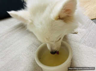 강이님이 올린 리뷰 사진 2