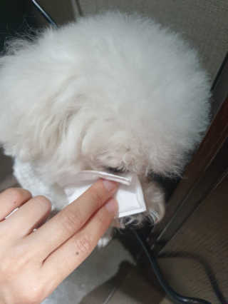 인아지아맘님이 올린 리뷰 사진 3