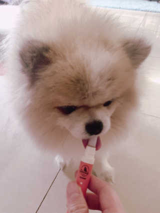 밍크마마님이 올린 리뷰 사진 2