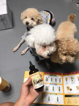 모모맘님이 올린 리뷰 사진 1