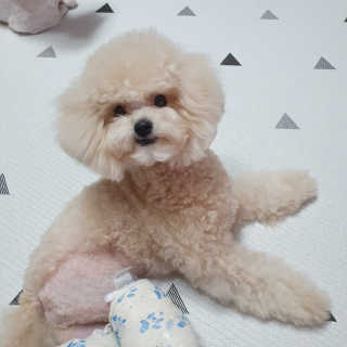 냥아치들님이 올린 리뷰 사진 4
