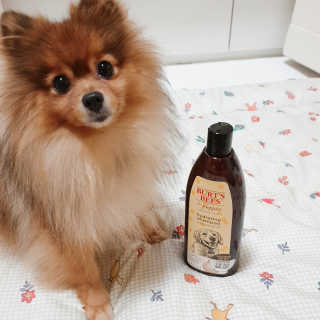 은선이짱님이 올린 리뷰 사진 1