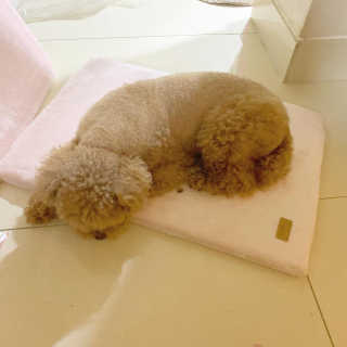 뚜루님이 올린 리뷰 사진 1