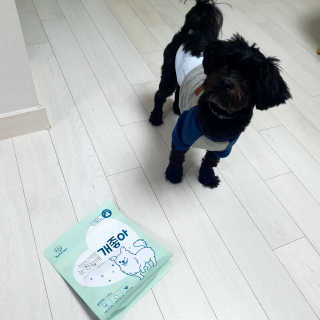 My Pet Care 천연단백질 눈건강에 개좋아 — 5점을 준 리뷰어가 2020년 11월 올린 사용 사진