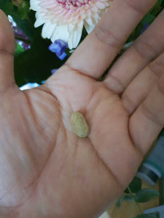 narihalmany님이 올린 리뷰 사진 3